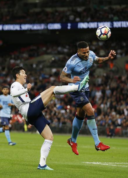 盆栽橘树也 盆栽橘树也